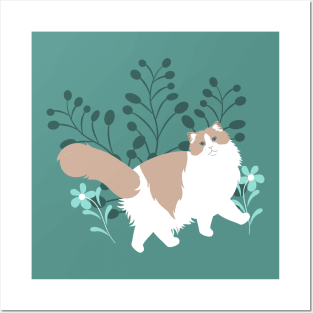 Elegant Ragdoll Cat Posters and Art